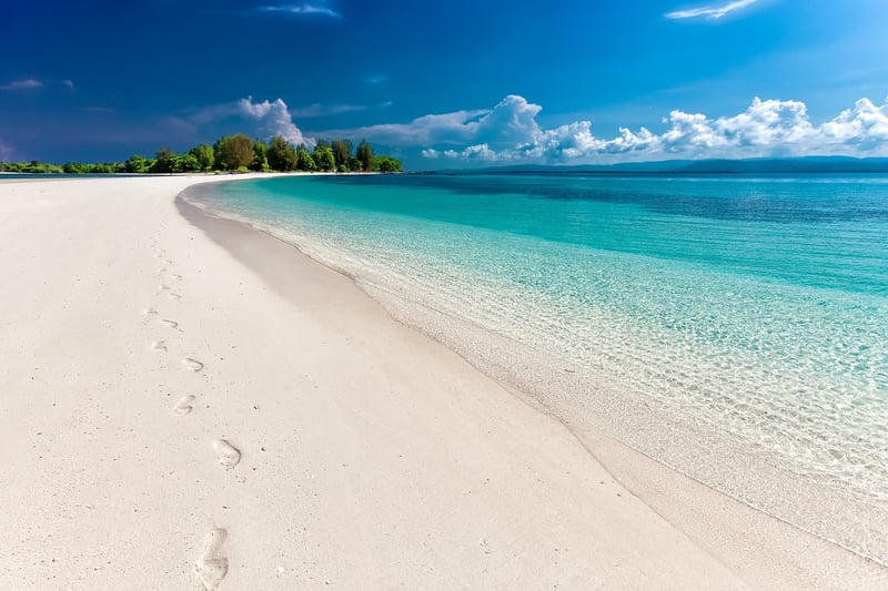 Maldives Tropical Beach